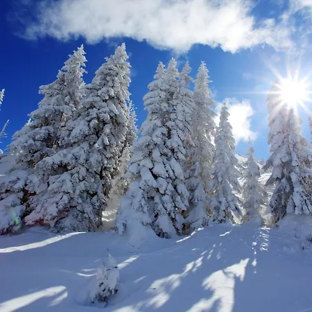 Appartement Bella Jahorina